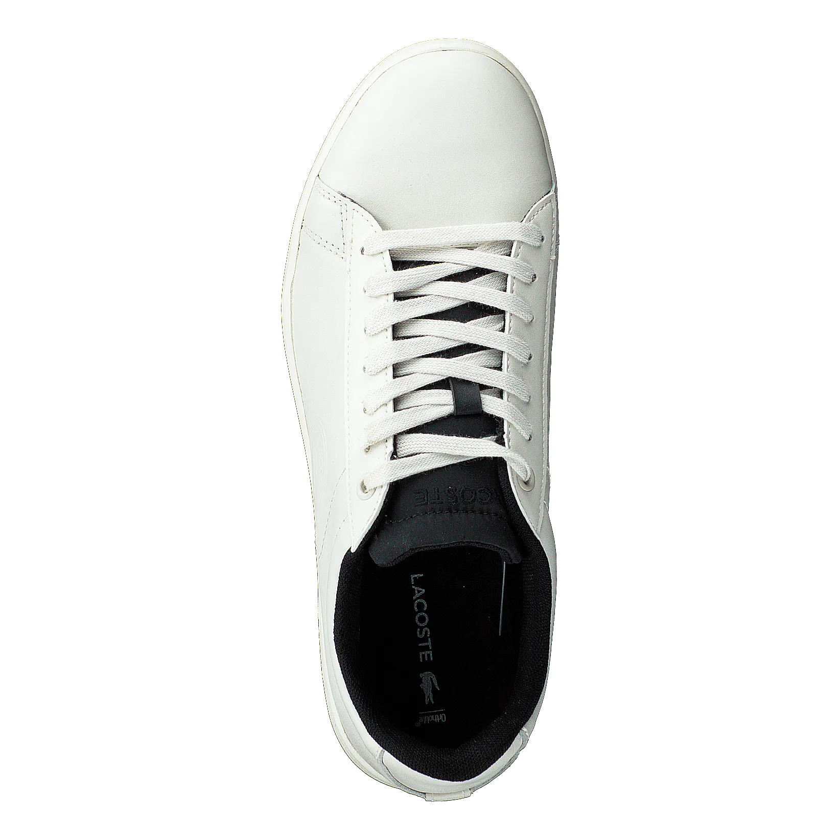 Carnaby Evo 418 2 Off Wht/blk