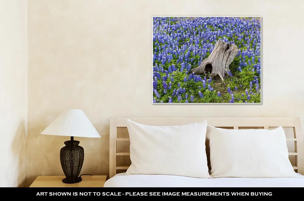 Gallery Wrapped Canvas, Austin Beautiful Texas Bluebonnets Field And Tree Stump