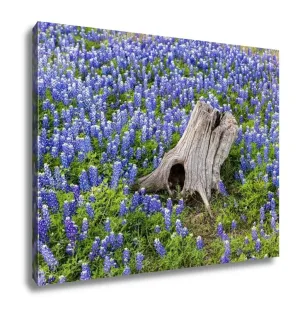 Gallery Wrapped Canvas, Austin Beautiful Texas Bluebonnets Field And Tree Stump